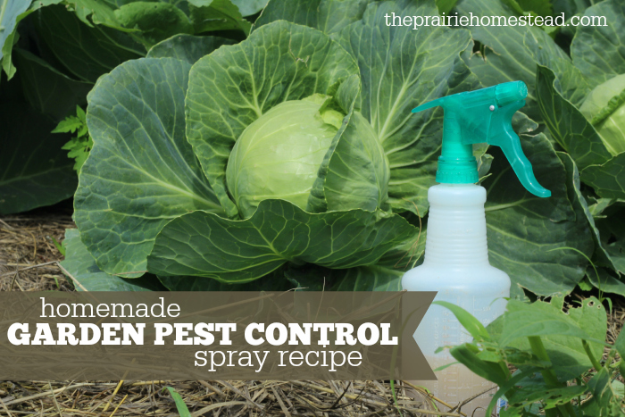 The Prairie Homestead Organic Pest Control Spray